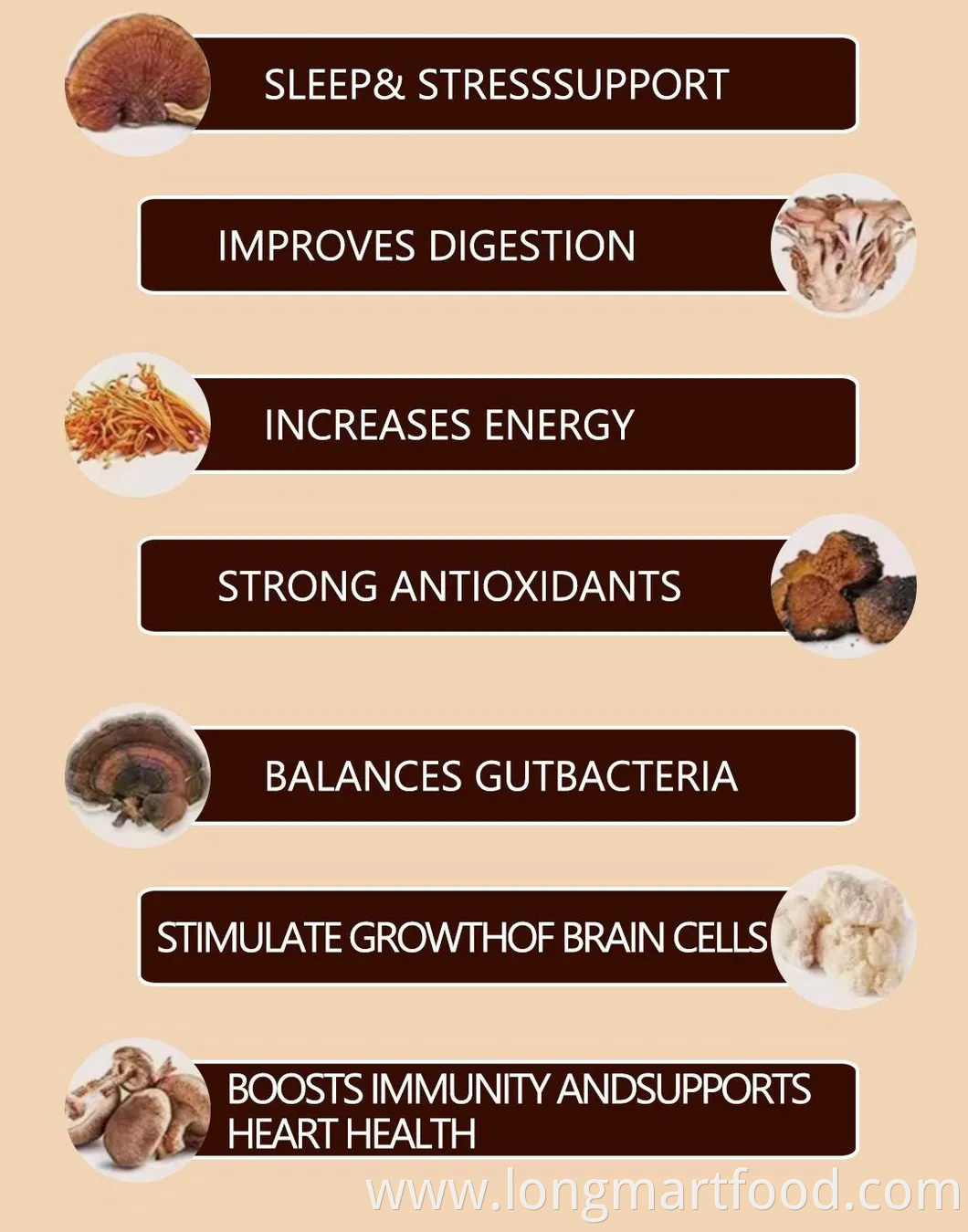 Private Label Cordyceps Reishi Chaga and Lions Mane Mushroom Coffee Mix